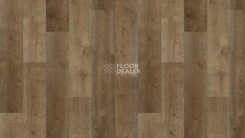 Линолеум Tarkett Фаворит MONDO 4 фото 1 | FLOORDEALER